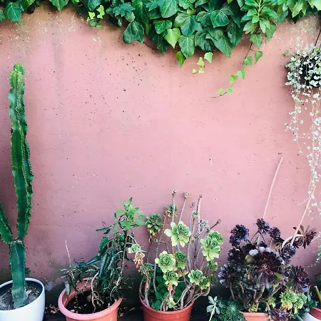 Opera Deluxe 4* Ravena