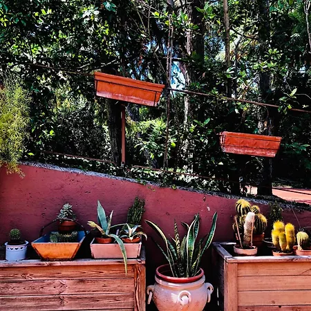 Alojamento de Acomodação e Pequeno-almoço Opera Deluxe 4*