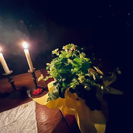 Opera Deluxe Alojamento de Acomodação e Pequeno-almoço