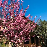 Opera Deluxe Bed and breakfast Rávena