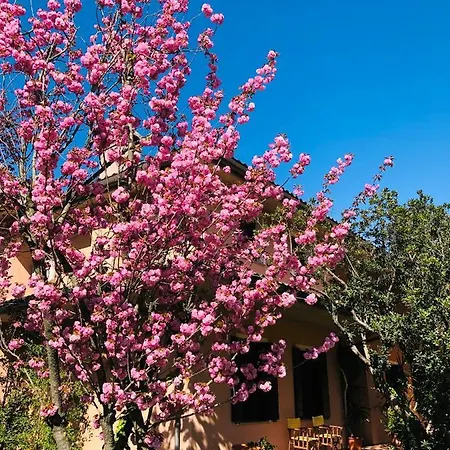 Opera Deluxe Bed and breakfast Rávena