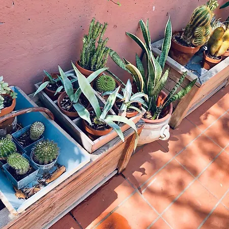 Opera Deluxe Bed and breakfast 4*