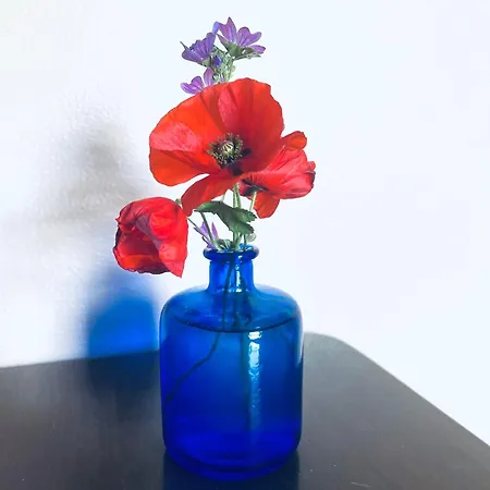 Opera Deluxe Bed & Breakfast 4*