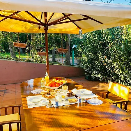 Bed and breakfast Opera Deluxe Rávena
