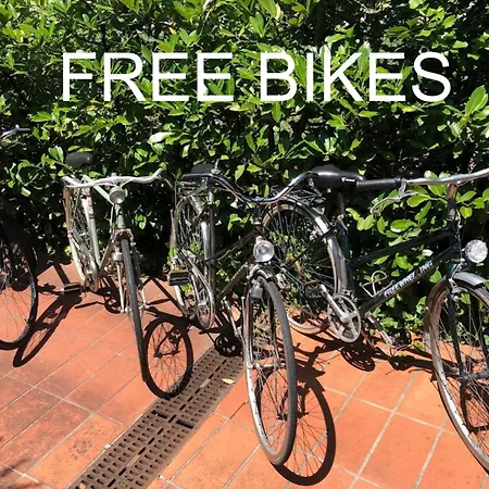 Bed and breakfast Opera Deluxe