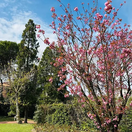 Bed & Breakfast Opera Deluxe Ravenna