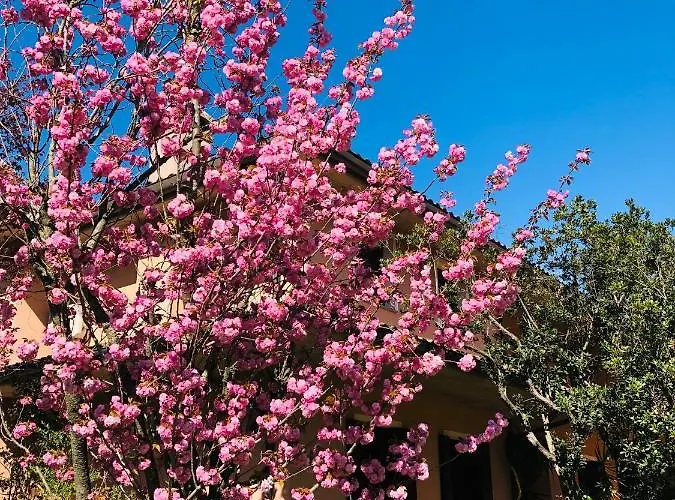 Opera Deluxe Bed & Breakfast Ravenna